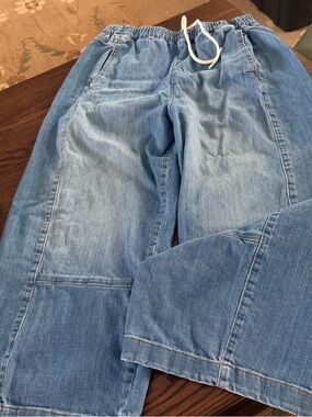 Pilcro Barrel Jeans XL Petite - Anthropologie